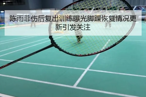 陈雨菲伤后复出训练曝光脚踝恢复情况更新引发关注